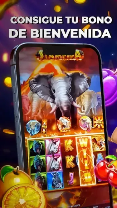 CIRSA Screenshot
